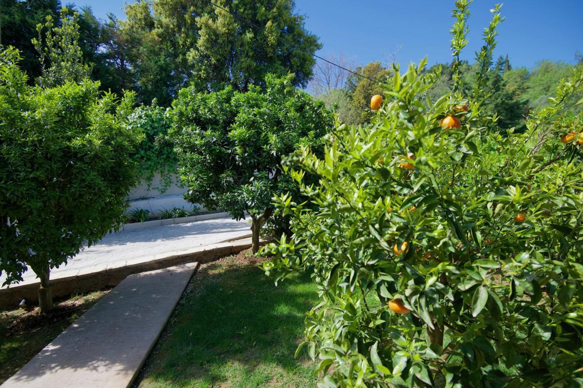 Villa Natilia Gazátika Extérieur photo